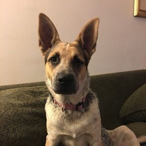 Meet your Posher, Gina